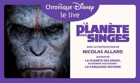 La Planète des Singes : Replay de L'Émission Live - Image Une