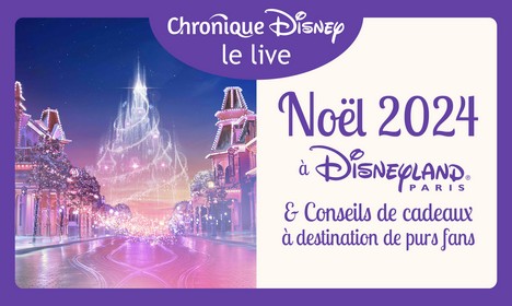 Un Noël de Fans Disney : Noël dans les Parcs Disney et Idées Cadeaux - Image Une