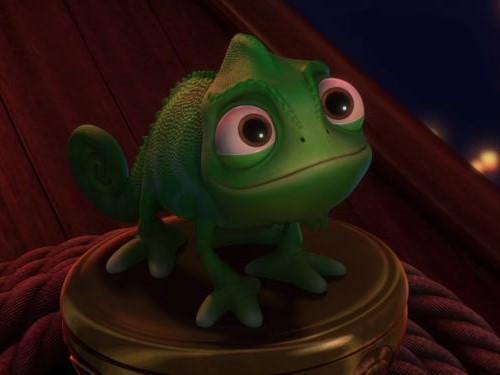 Pascal